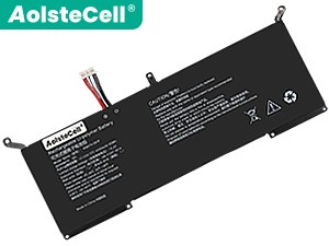 AolsteCell 408474-3S1P laptop accu vervangen