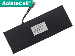 HIPAA S8 laptop accu vervangen