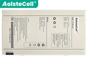 Iray BATTERY-KV laptop accu vervangen