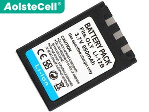 Olympus Camedia C-760 laptop accu vervangen