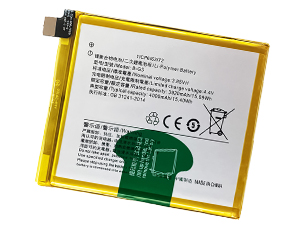 Vivo B-G3 laptop accu vervangen